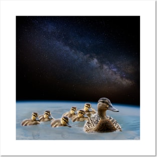 Space Ducks Posters and Art